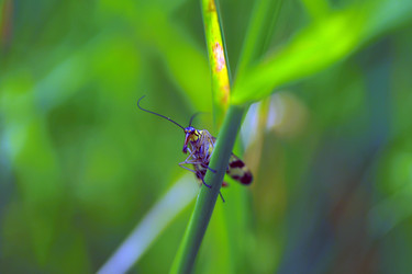 Similar image 7953862