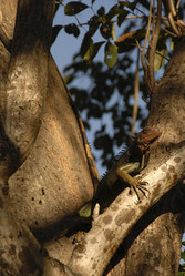 Similar image 7953864