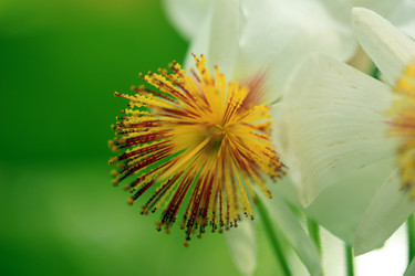 Similar image 7953871