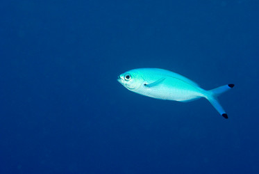 Similar image 7953872