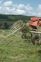 Similar image 7953873