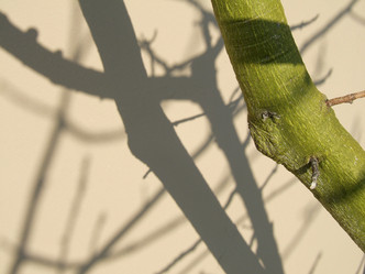 Similar image 7953874