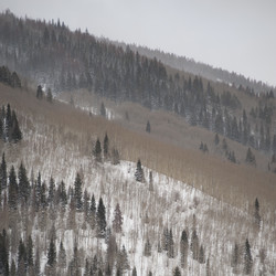 Similar image 7953875