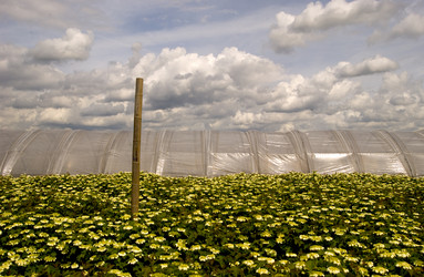 Similar image 7953877