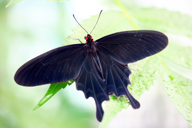 Similar image 7953880