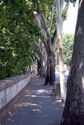 Similar image 7953883