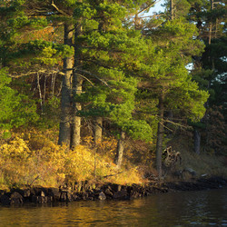 Similar image 7953894