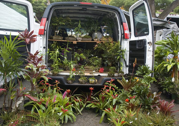 Similar image 7953897