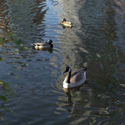 Similar image 7953938