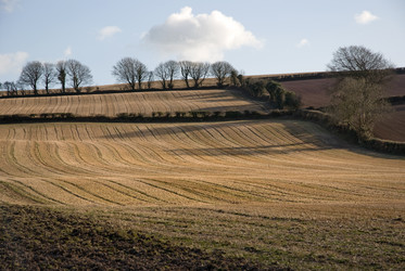 Similar image 7953943