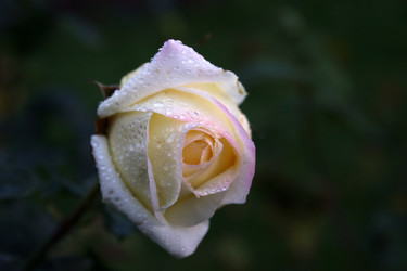 Similar image 7953953