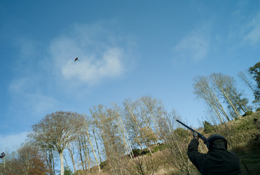 Similar image 7953961