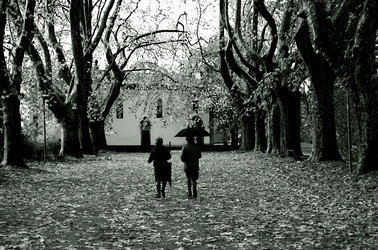 Similar image 7953962