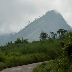 Similar image 7953968