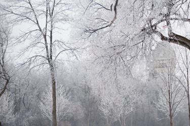 Similar image 7953972