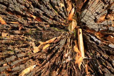 Similar image 7953976