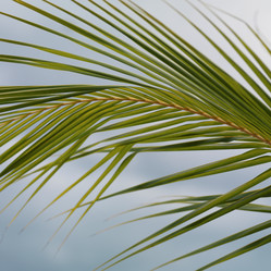 Similar image 7953980