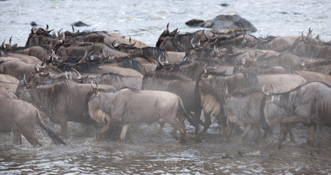 Similar image 7953981