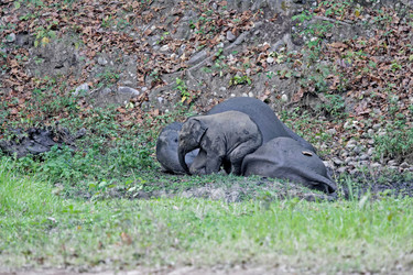 Similar image 7953989