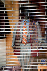 Similar image 7954001