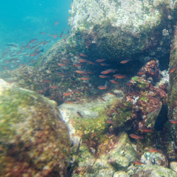 Similar image 7954008