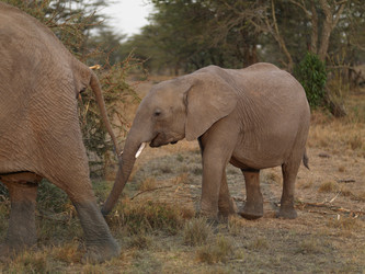 Similar image 7954016