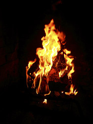 Similar image 7954023