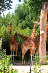 Similar image 7954029