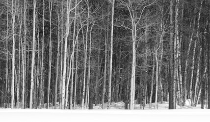 Similar image 7954031