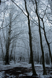 Similar image 7954034