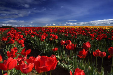 Similar image 7954038