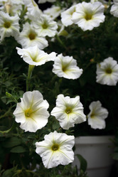 Similar image 7954039