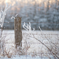 Similar image 7954044