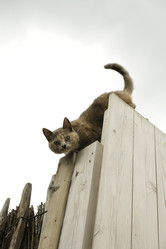 Similar image 7954047