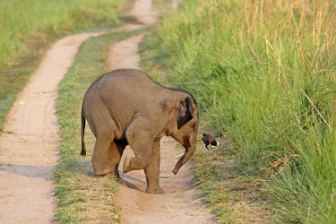 Similar image 7954046