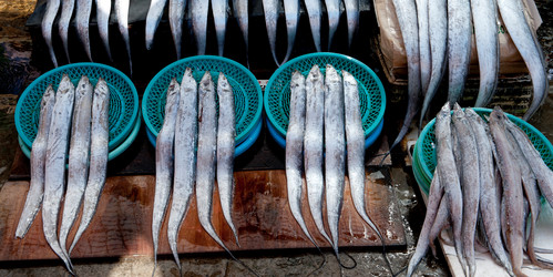 Similar image 7954049