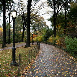 Similar image 7954051