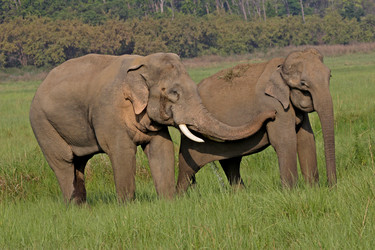 Similar image 7954077