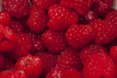 Similar image 7954082