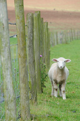 Similar image 7954084