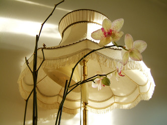 Similar image 7954094