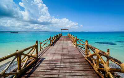 Similar image 7954099