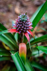 Similar image 7954110