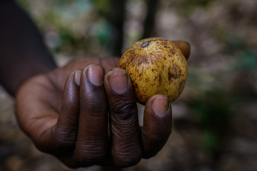 Similar image 7954111