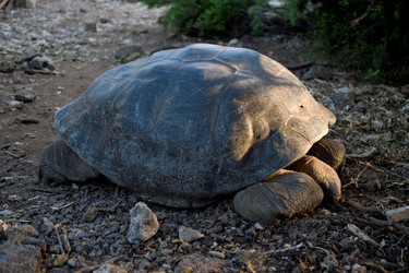 Similar image 7954144