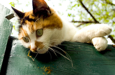 Similar image 7954145