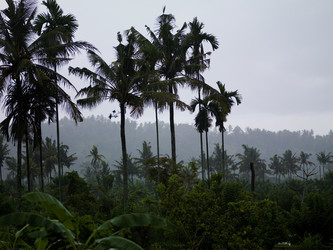 Similar image 7954152