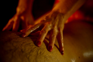 Similar image 7954155