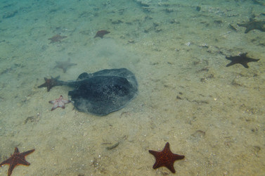 Similar image 7954168