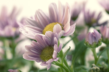 Similar image 7954175